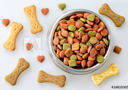 Dog Treats
