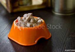 Wet Dog Food