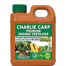 Charlie Carp