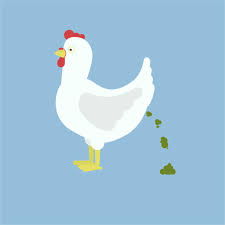 Chicken Manure 35L